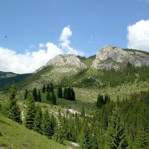 <p>O grupa montana a Muntilor Apuseni apartinand de lantul muntos al Carpatilor Occidentali, strajuieste la vest teritoriul comunei Marg&auml;u.</p>